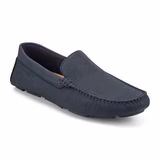 RODGER - Image 2